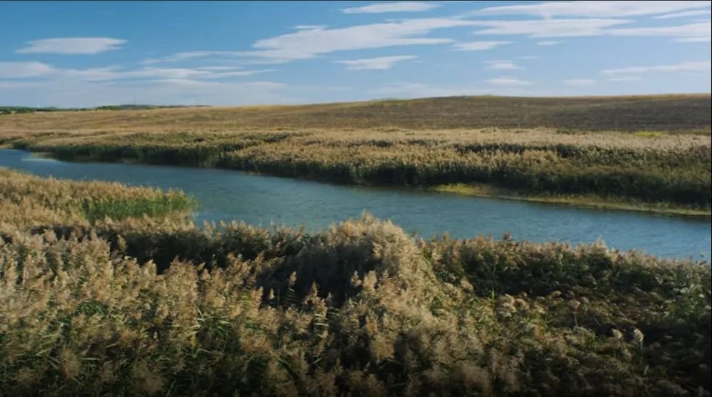Un río serpentea por una llanura con juncos y pastizales bajo un cielo azul con nubes.