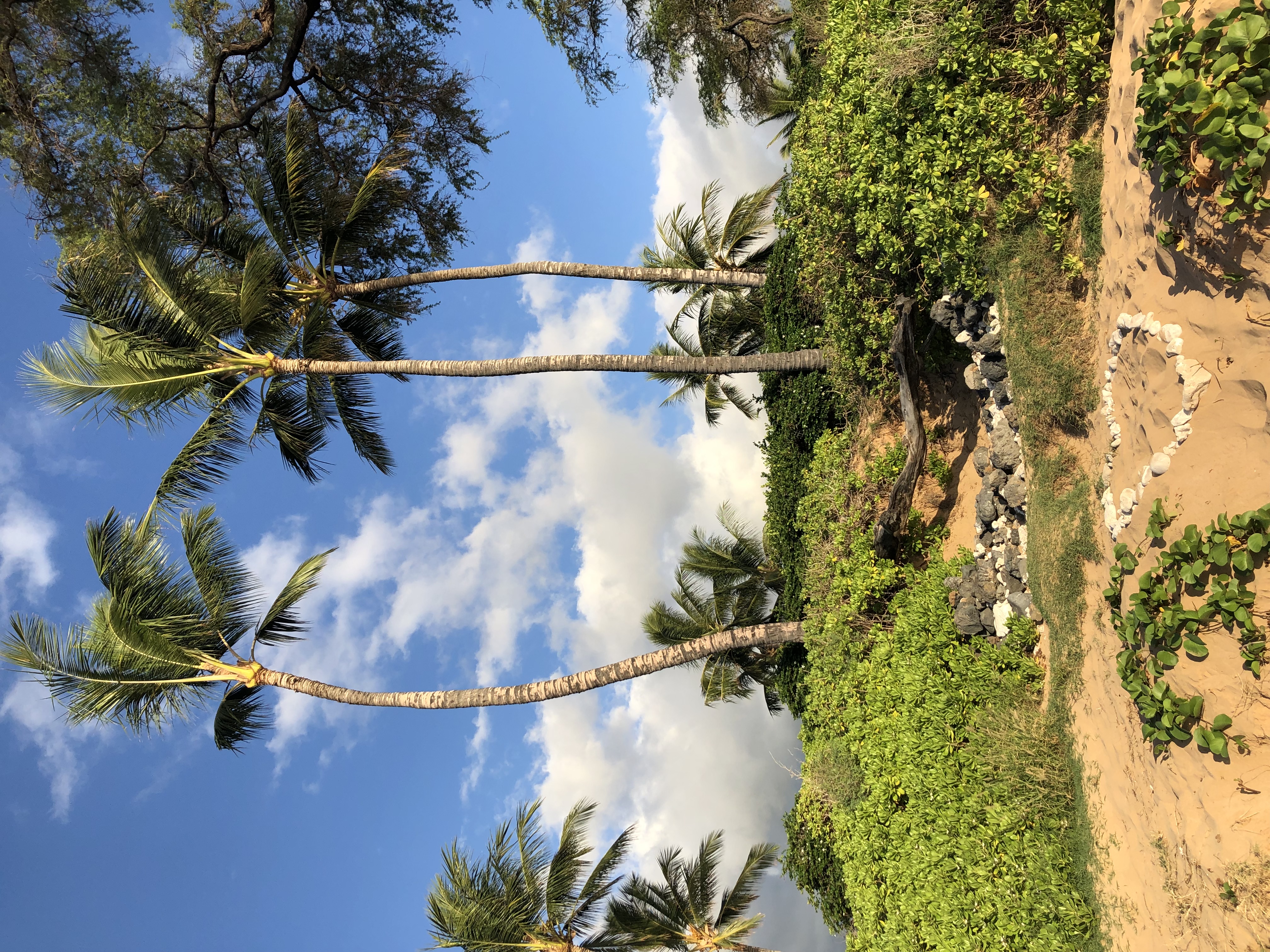 Maui pool 2