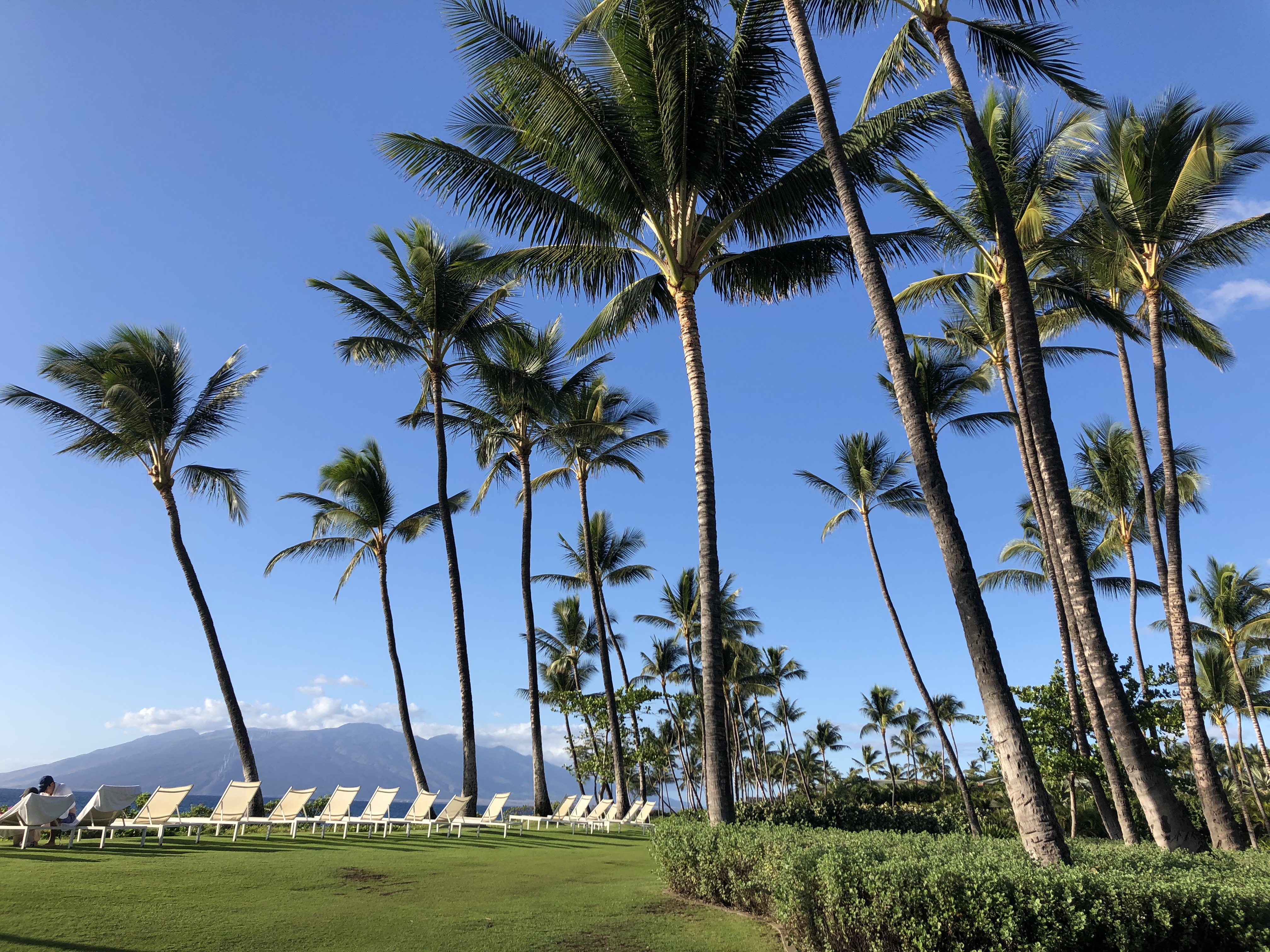 Maui view 6