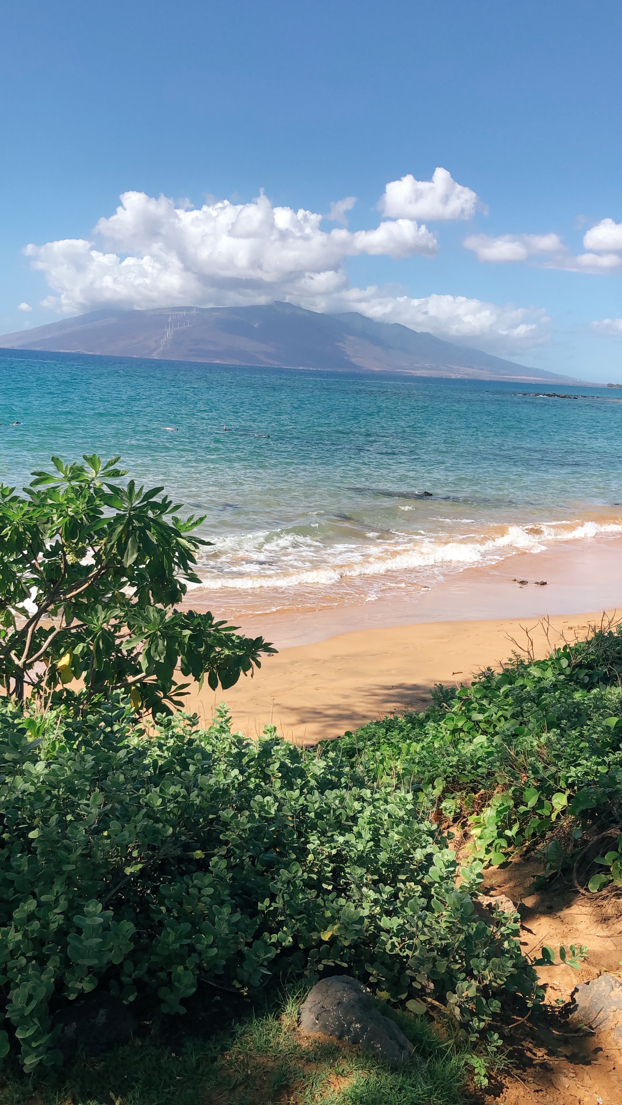 Maui view 8