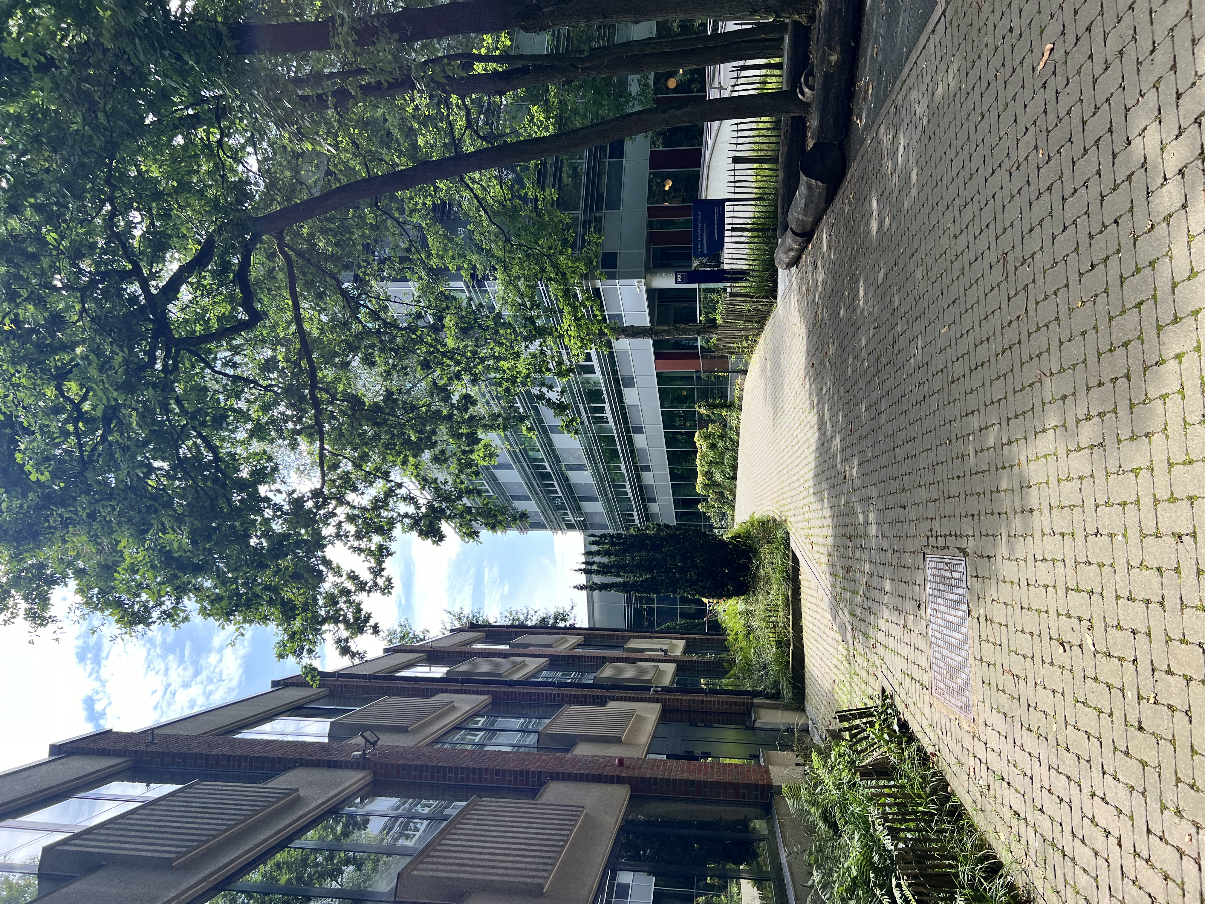 Pathway to middle school International School of Brussels