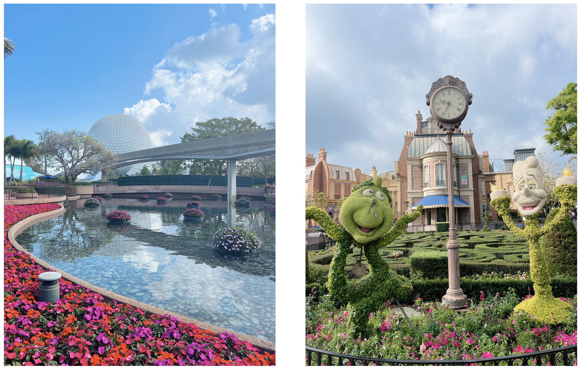 Epcot Access