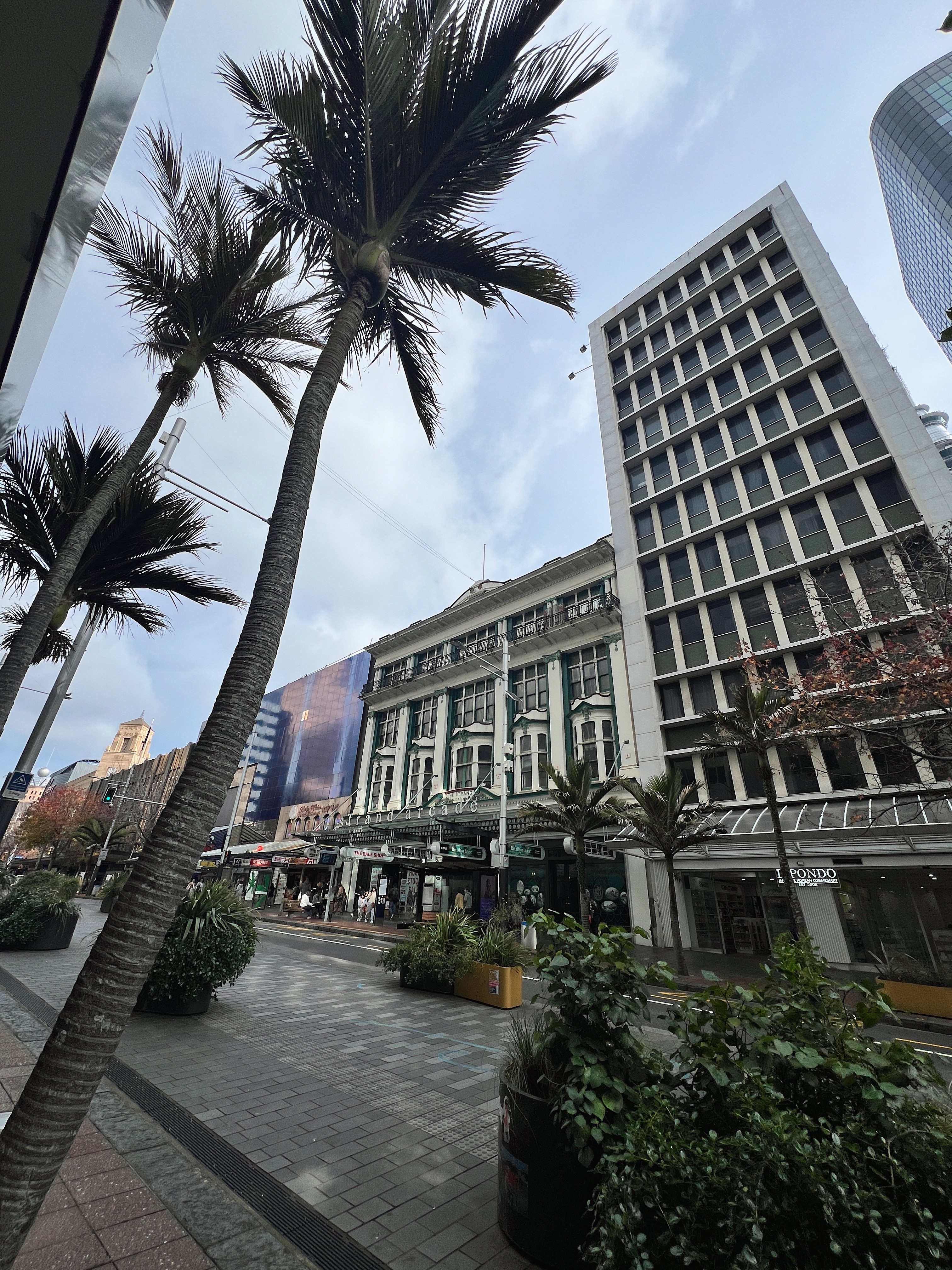 Exploring Auckland 2