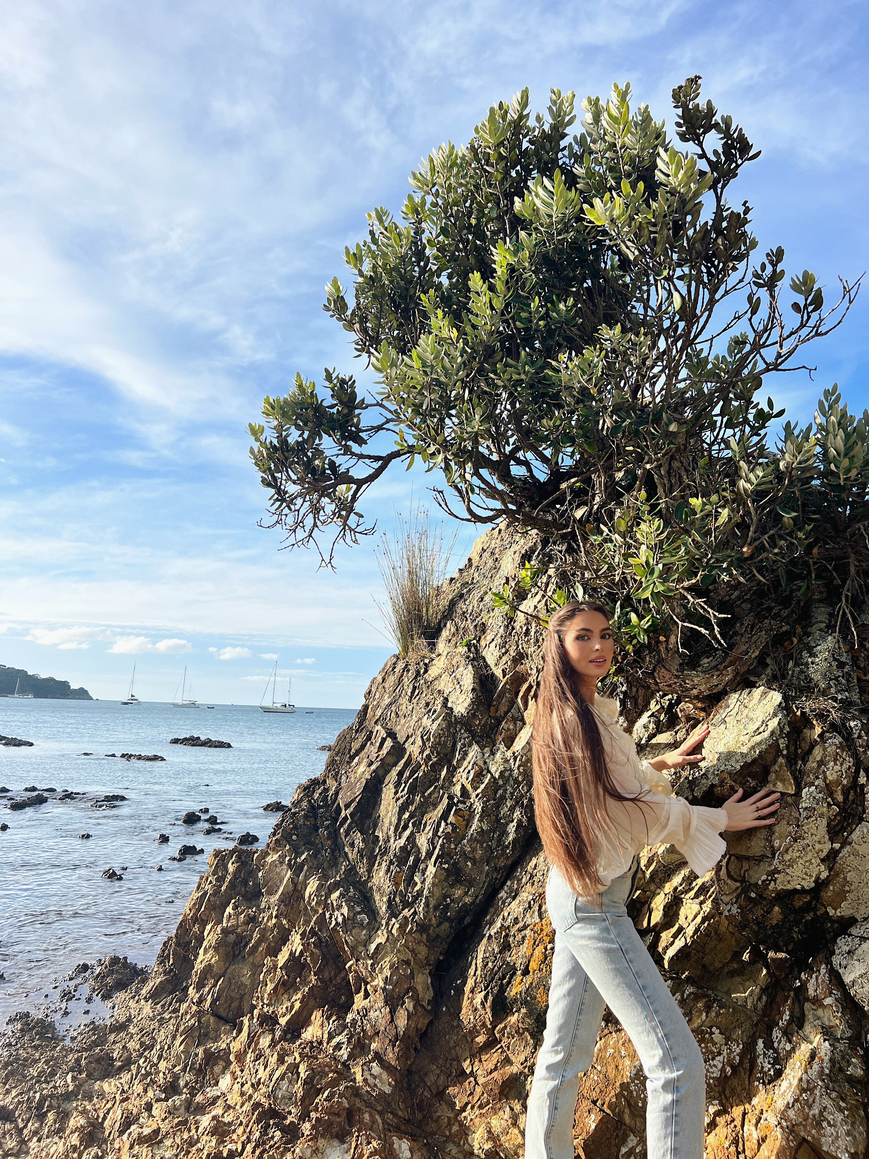 Waiheke market