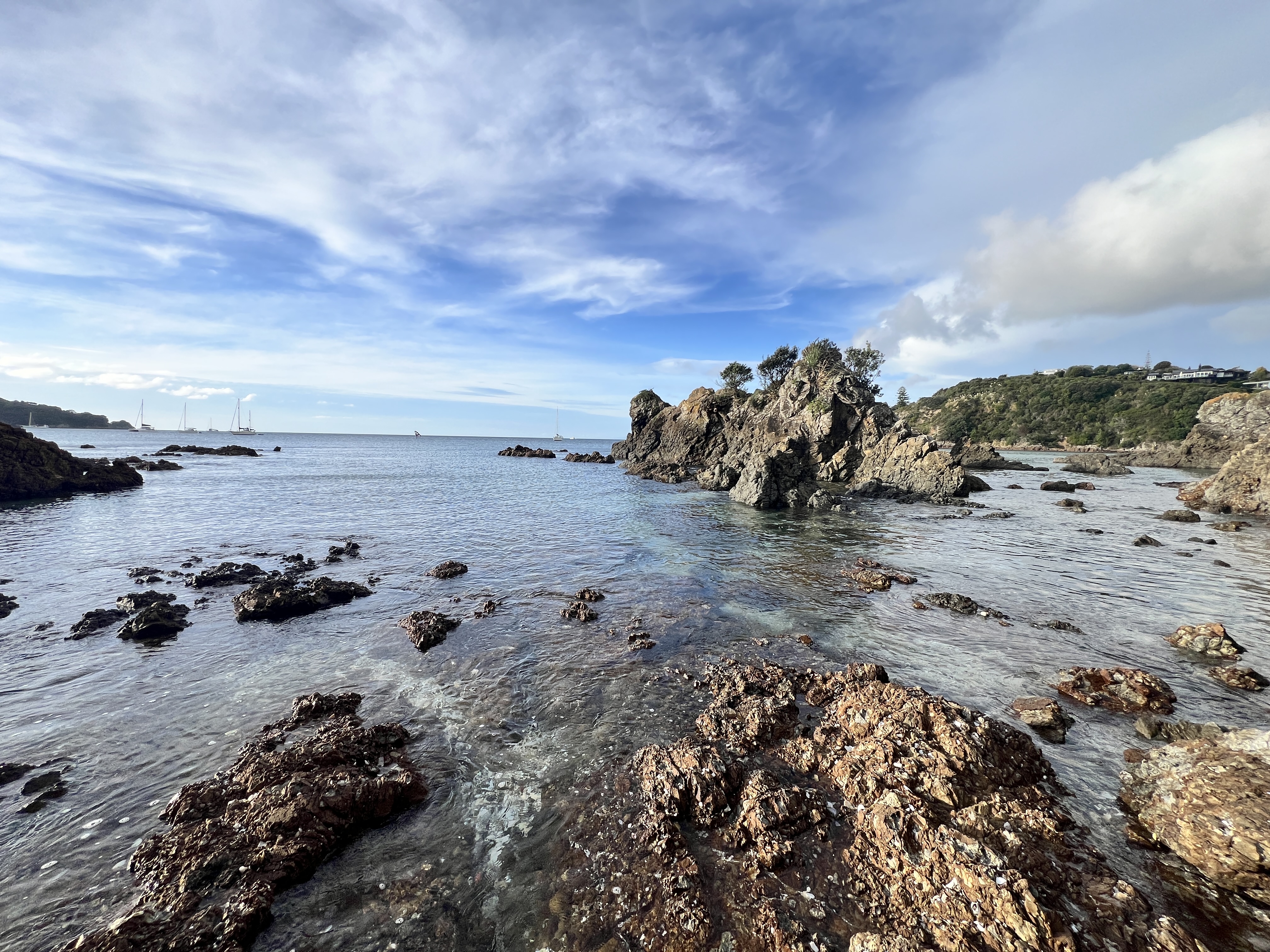 Waiheke market