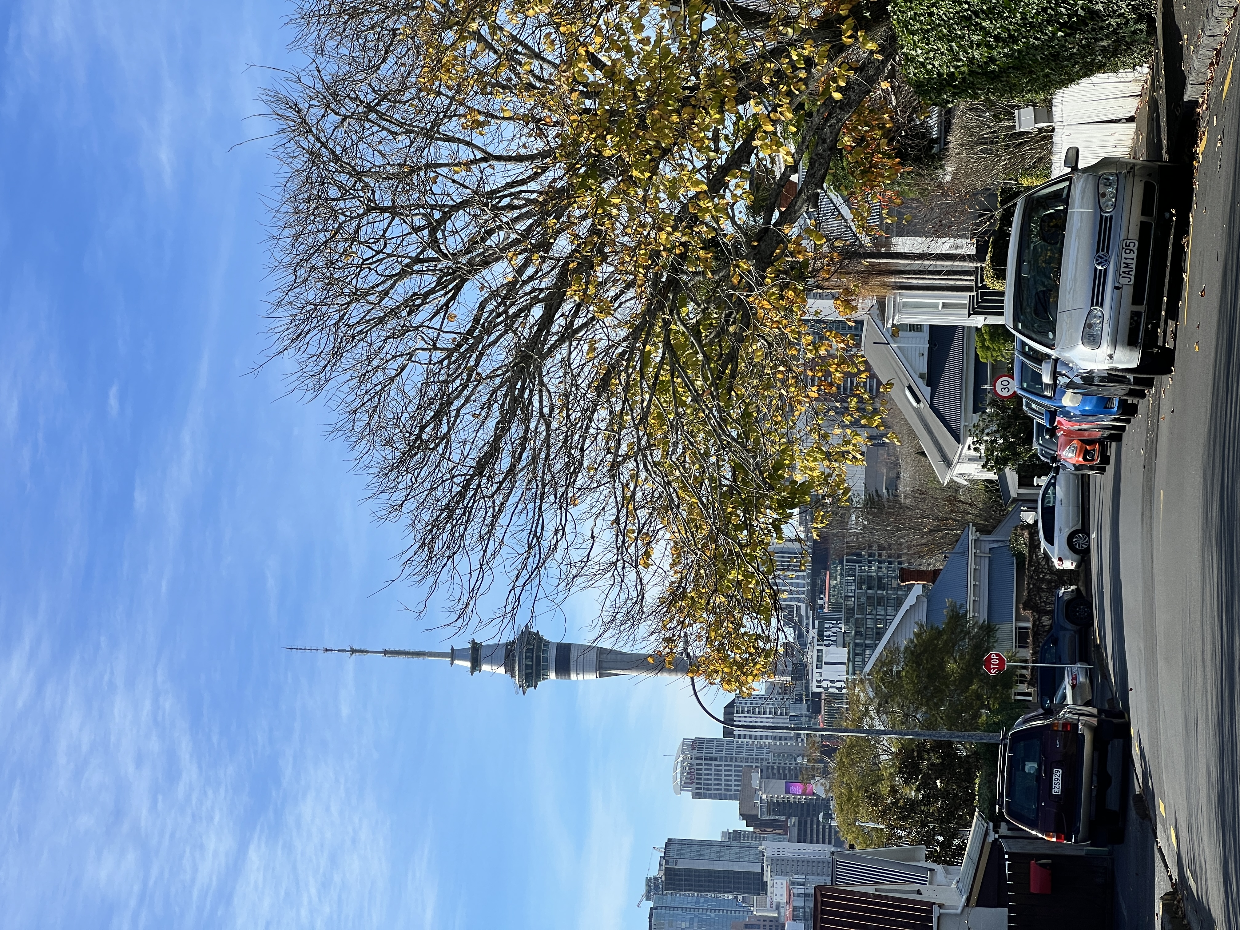 Ponsonby market