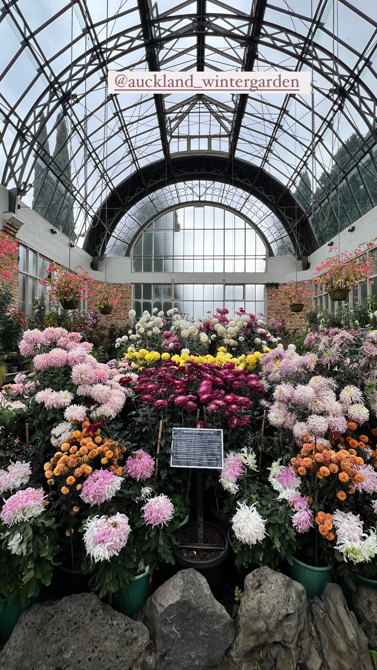 Wintergarden