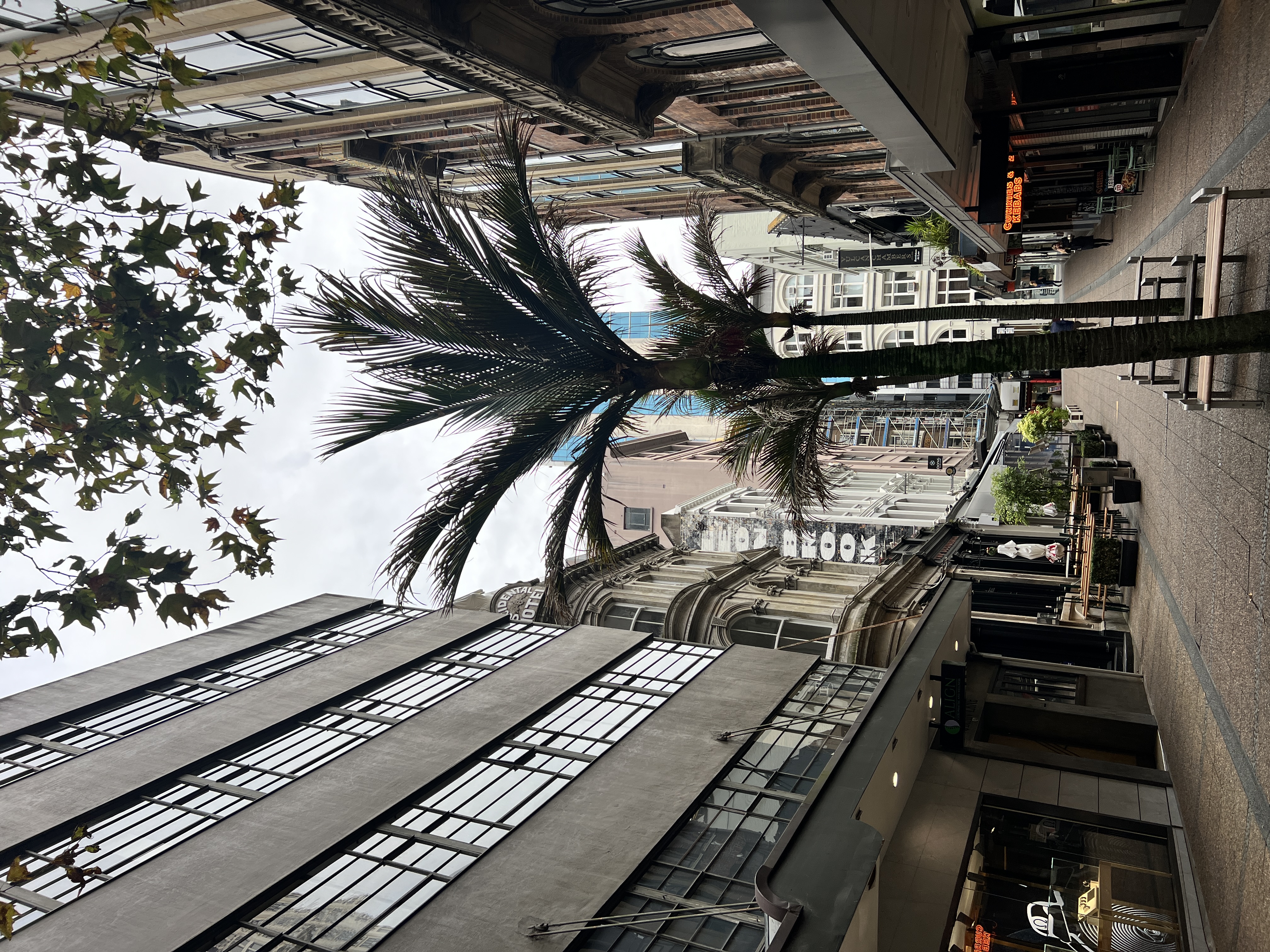 Auckland view 8