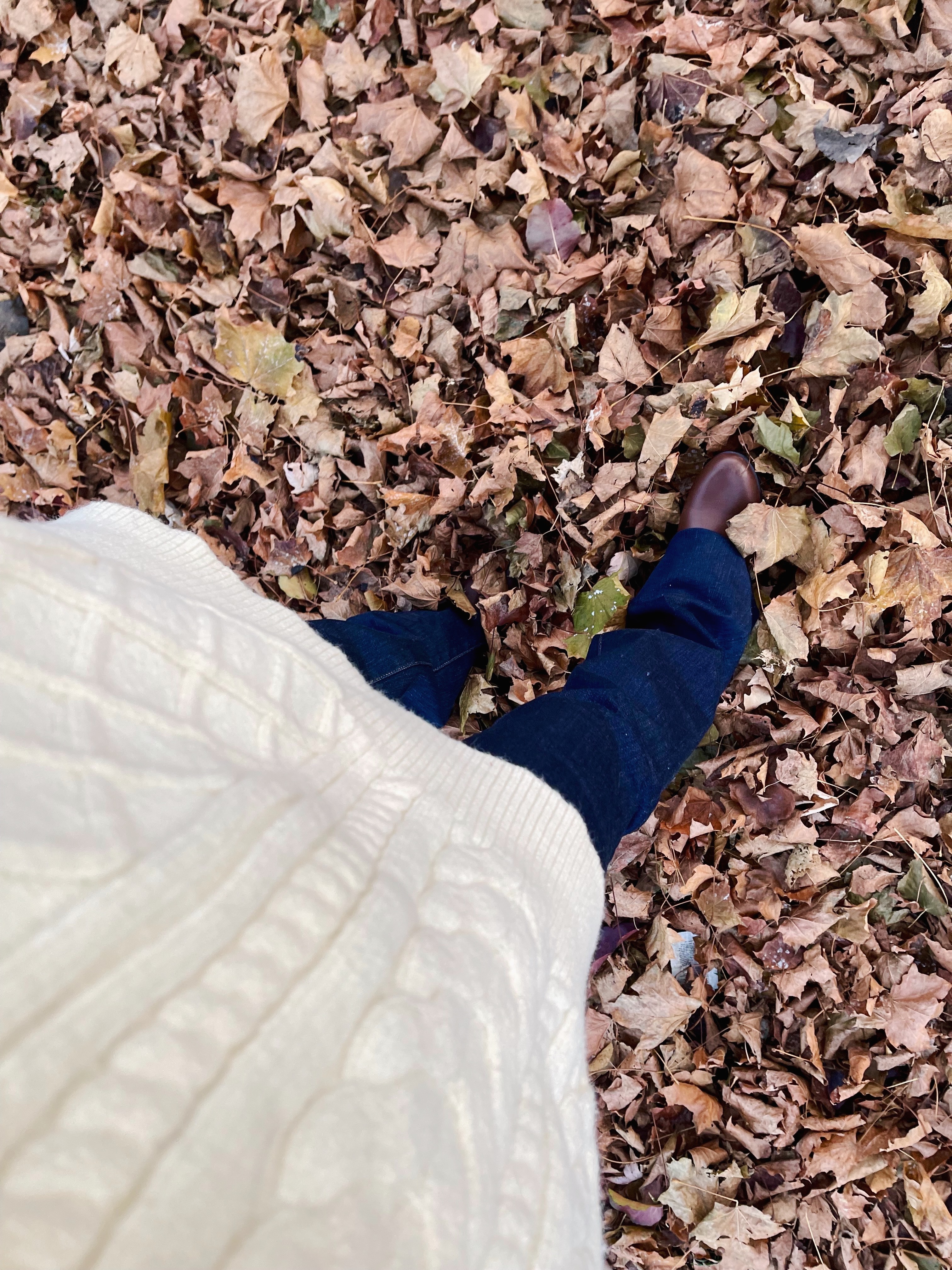 Rory Gilmore Stars Hollow Unionville