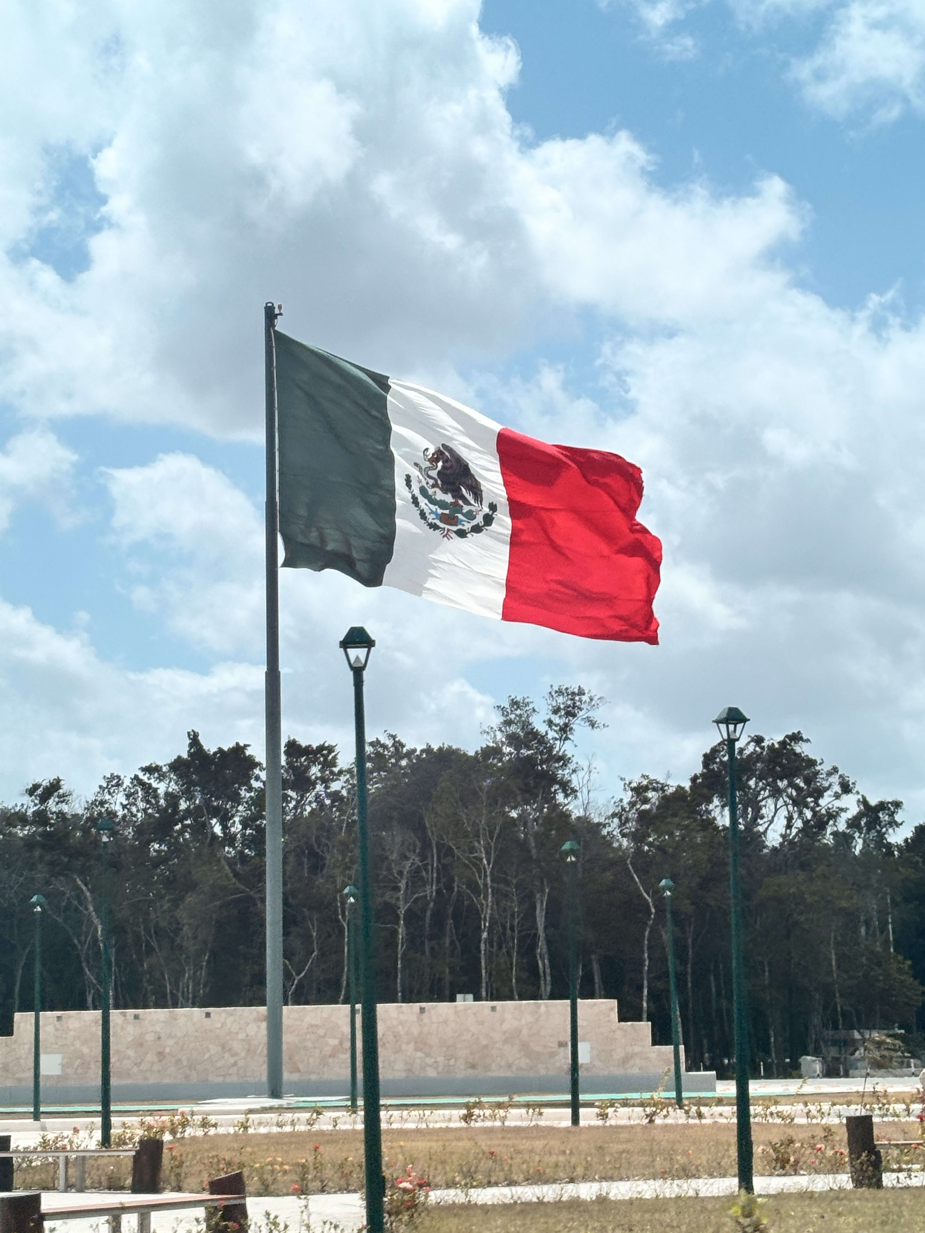 Mexican Flag