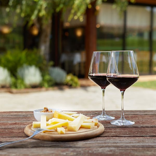 Attività enogastronomiche dell'alto Lago di Garda