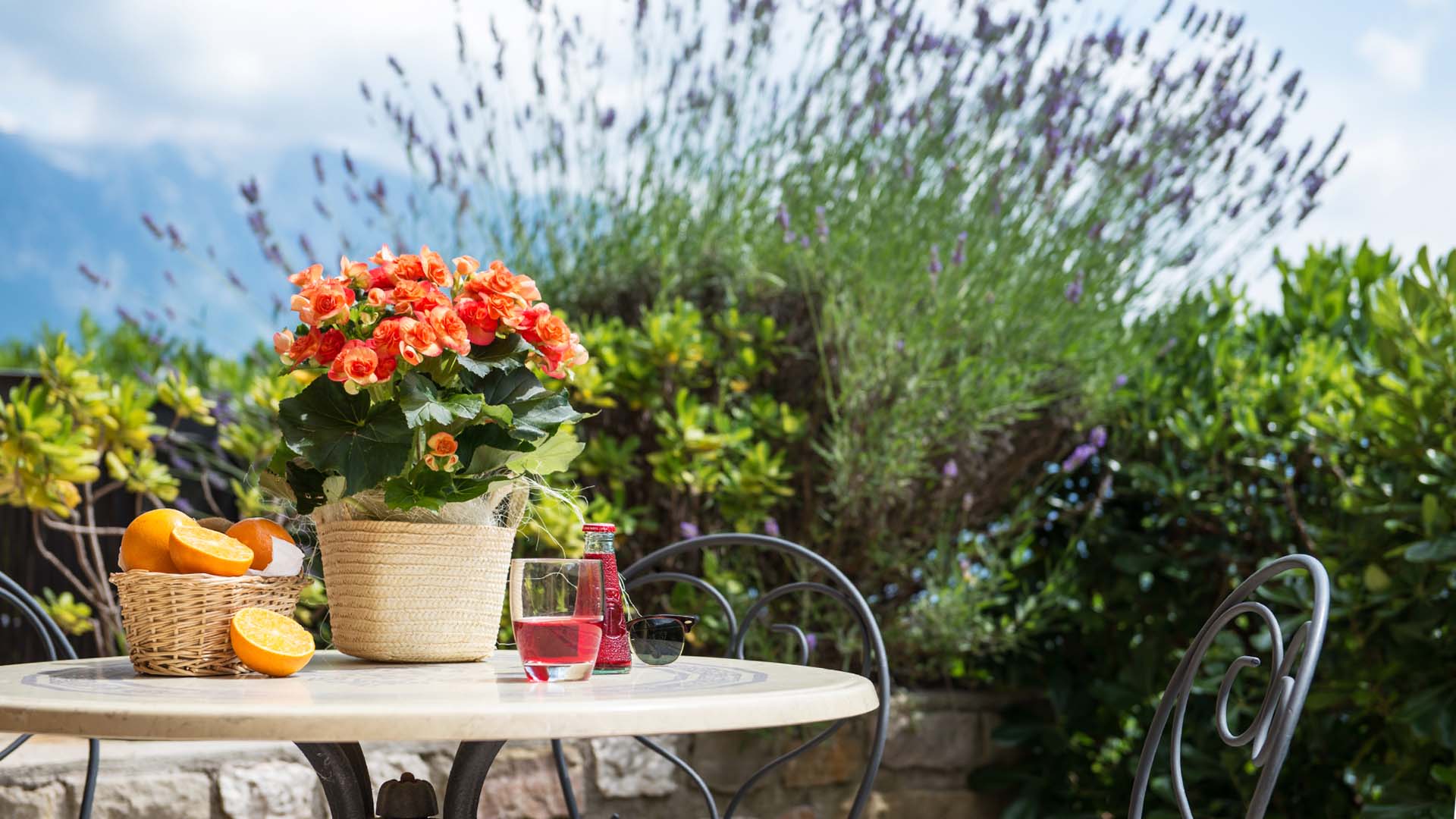 Giardino - Appartamento Trilocale Residence La Berna