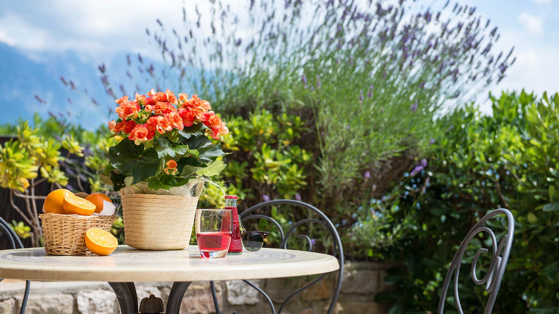 Apartments am Gardasee | Residence La Berna