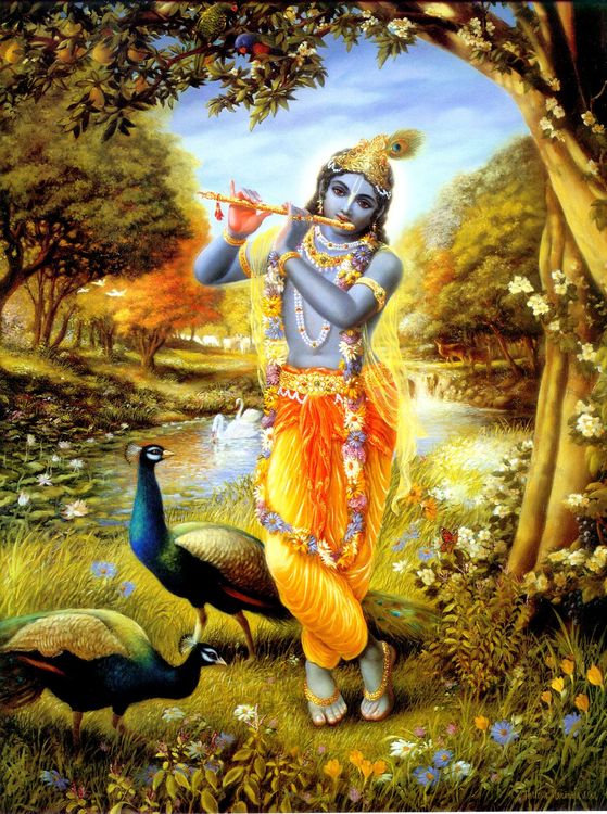 Envious of Kṛṣṇa