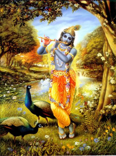 Envious of Kṛṣṇa