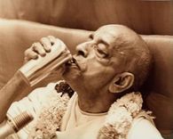 Seeing Krishna everywhere