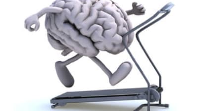 Exercícios e cognição