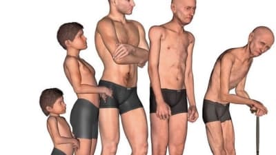 Prevenindo a sarcopenia