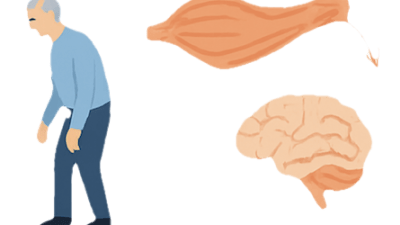 Sarcopenia e Irisina - Como o Exercício Proteje Músculos e Cérebro