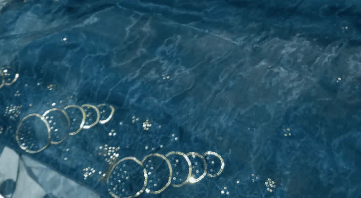 Combo: 2 Midnight Blue Organza Sarees - View 4