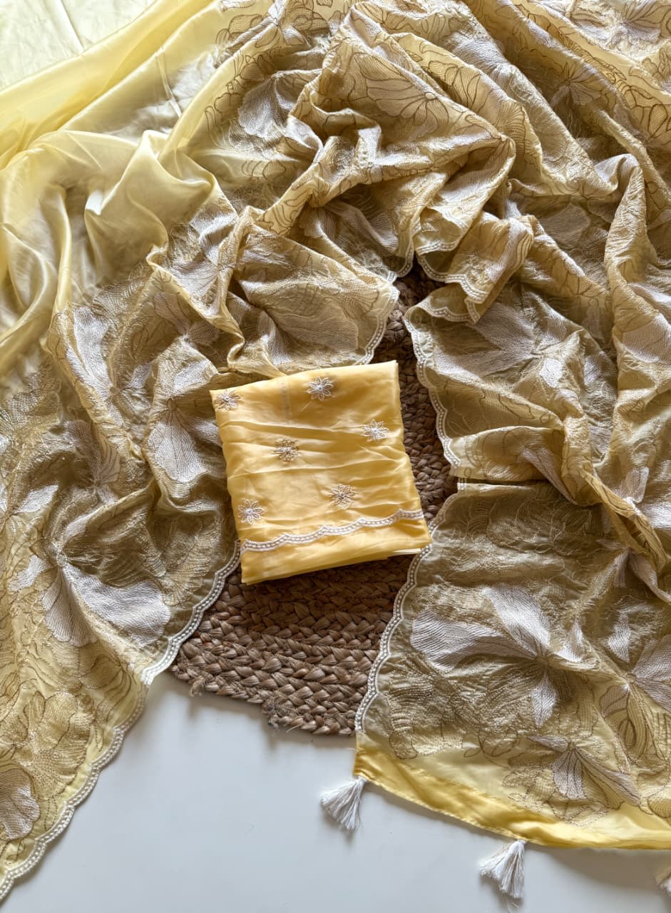 SUPERHIT DESIGN – Crystal Tissue Embroidered Saree - Best Festival Saree