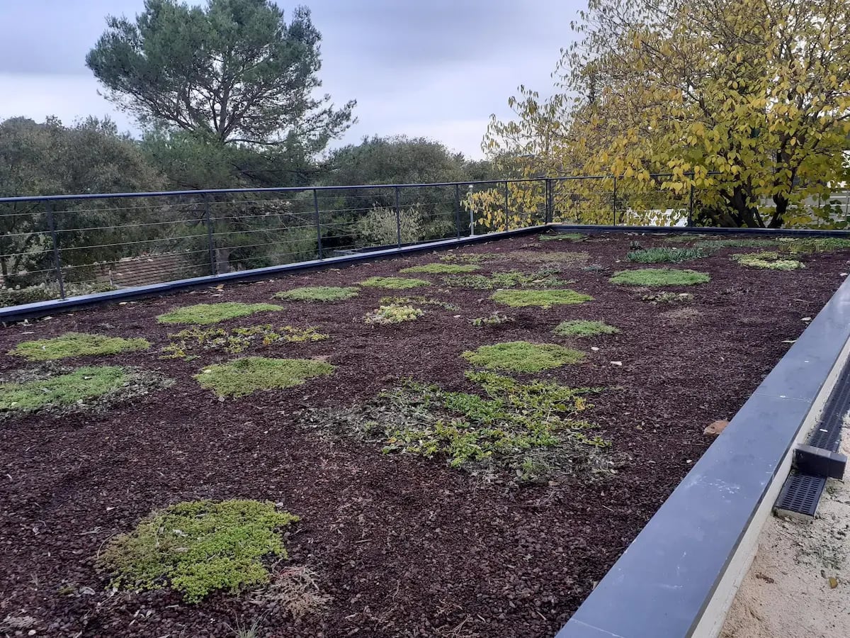 Extérieur du studio