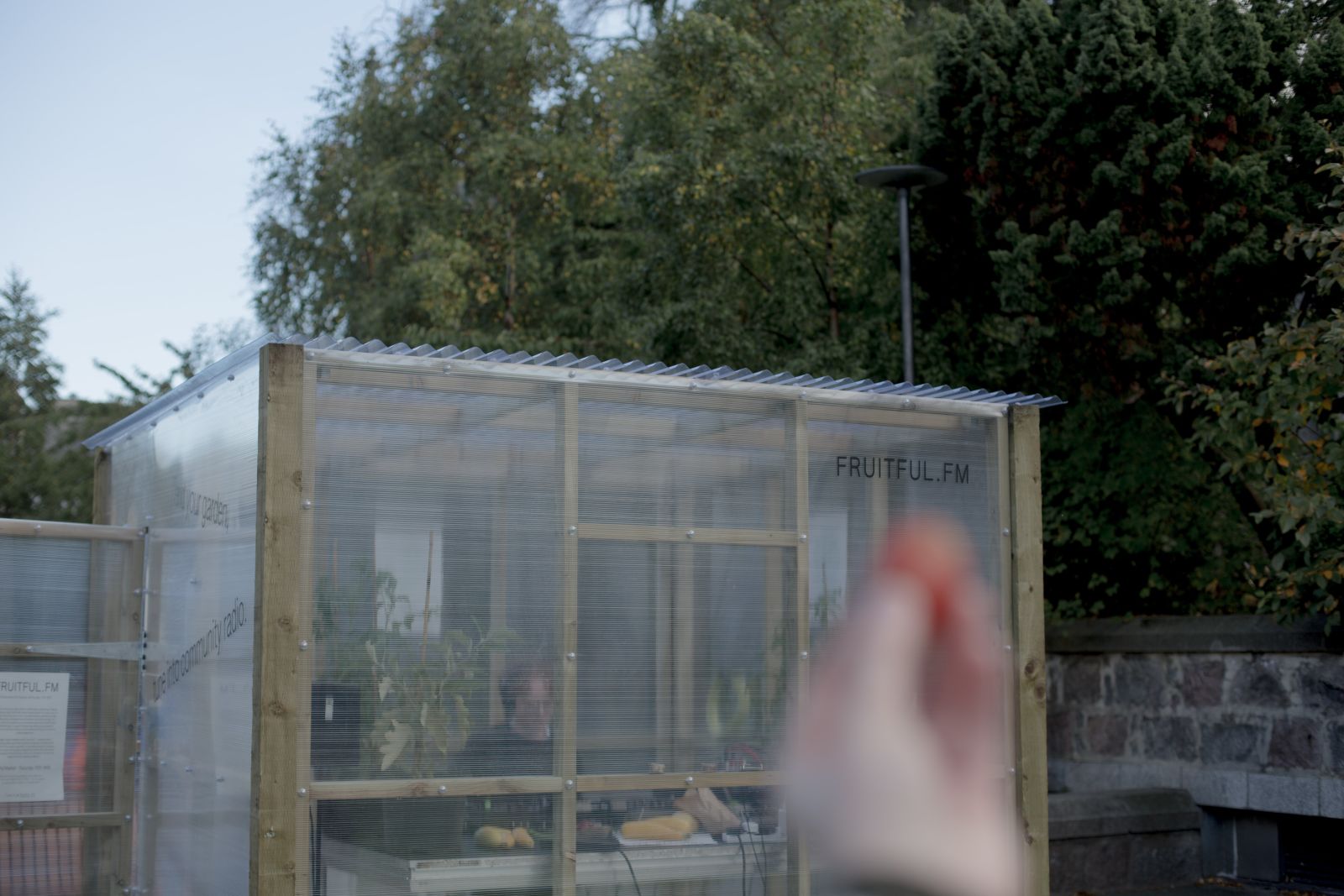 A blurred plum is held infront of a greenhouse with vinyl reading Fruitful.FM visible