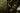 The three parts of a SwampNET hang in mid air held by invisible string against a blurred background of the swmap