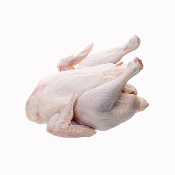 FULL CHICKEN