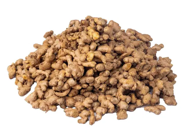 GINGER