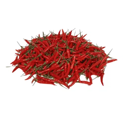 CHILLI PEPPER