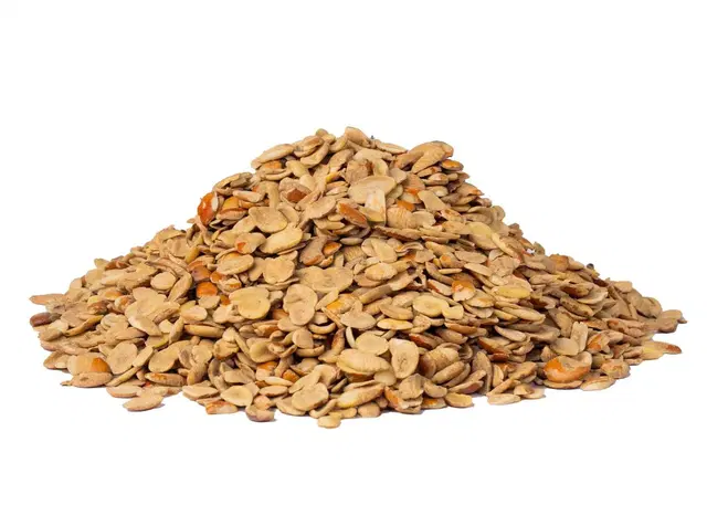 OGBONO