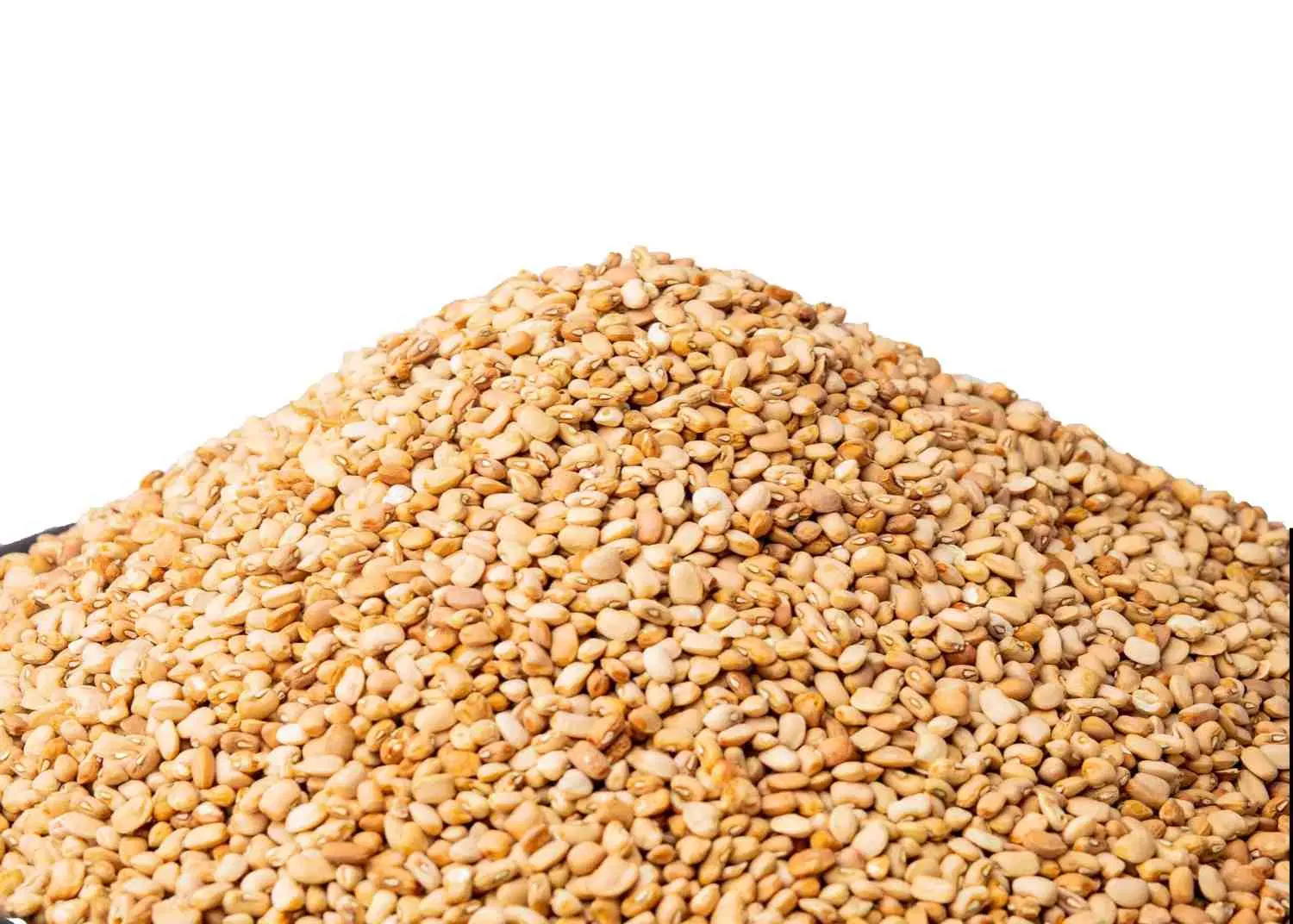 OLOYIN BEANS