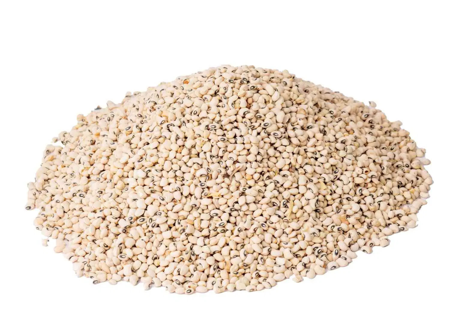 WHITE-BEANS