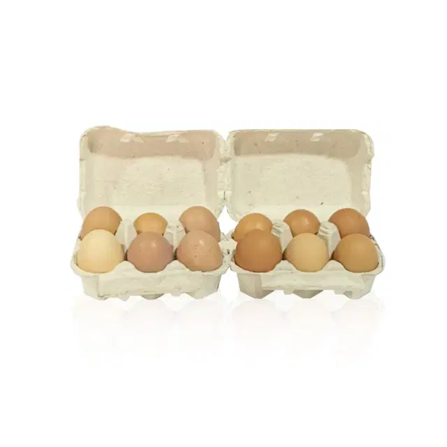 EGGS