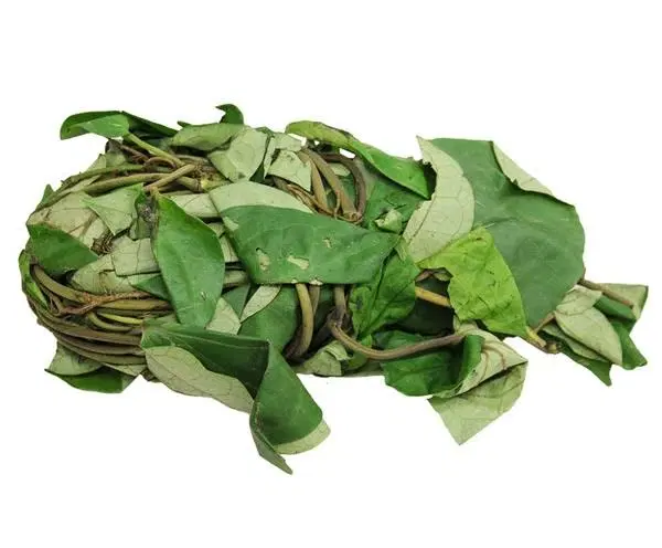 UZIZA LEAF