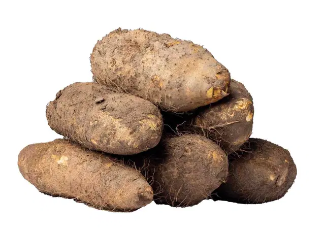 YAM