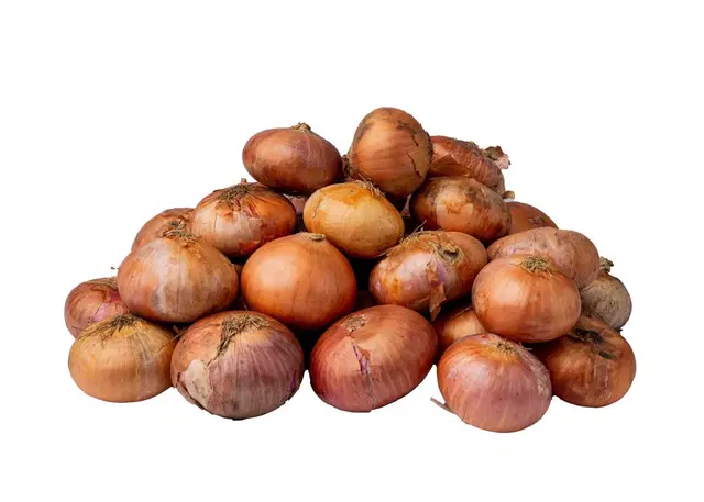ONION