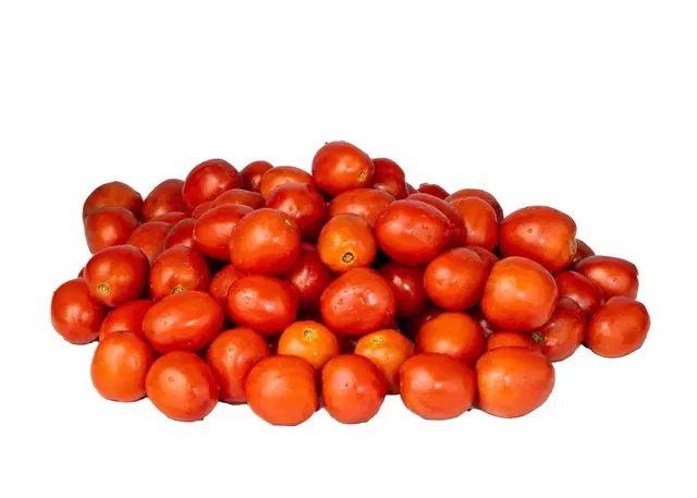 FRESH TOMATOES