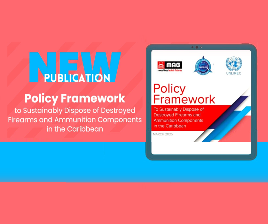 Policy Framework launched to support CARICOM countries in firearms and ammunition disposal