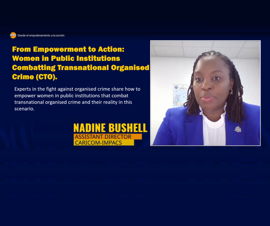 From Empowerment to Action: Women in Public Institutions Combatting Transnational Organised Crime (CTO)