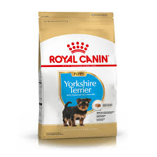 RC YORKSHIRE TERRIER PUPPY 3KG