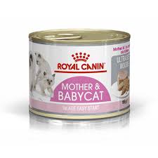 RC MOTHER & BABY CAT LATA 6 UN