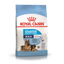 RC STARTER MAXI MOTHER AND BABYDOG 10KG