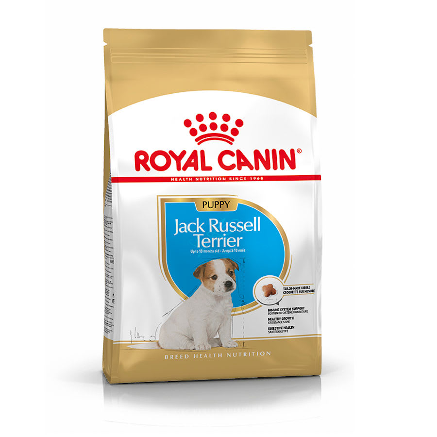 RC JACK RUSSEL TERRIER PUPPY 3KG