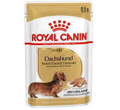 RC DACHSHUND POUCH X1