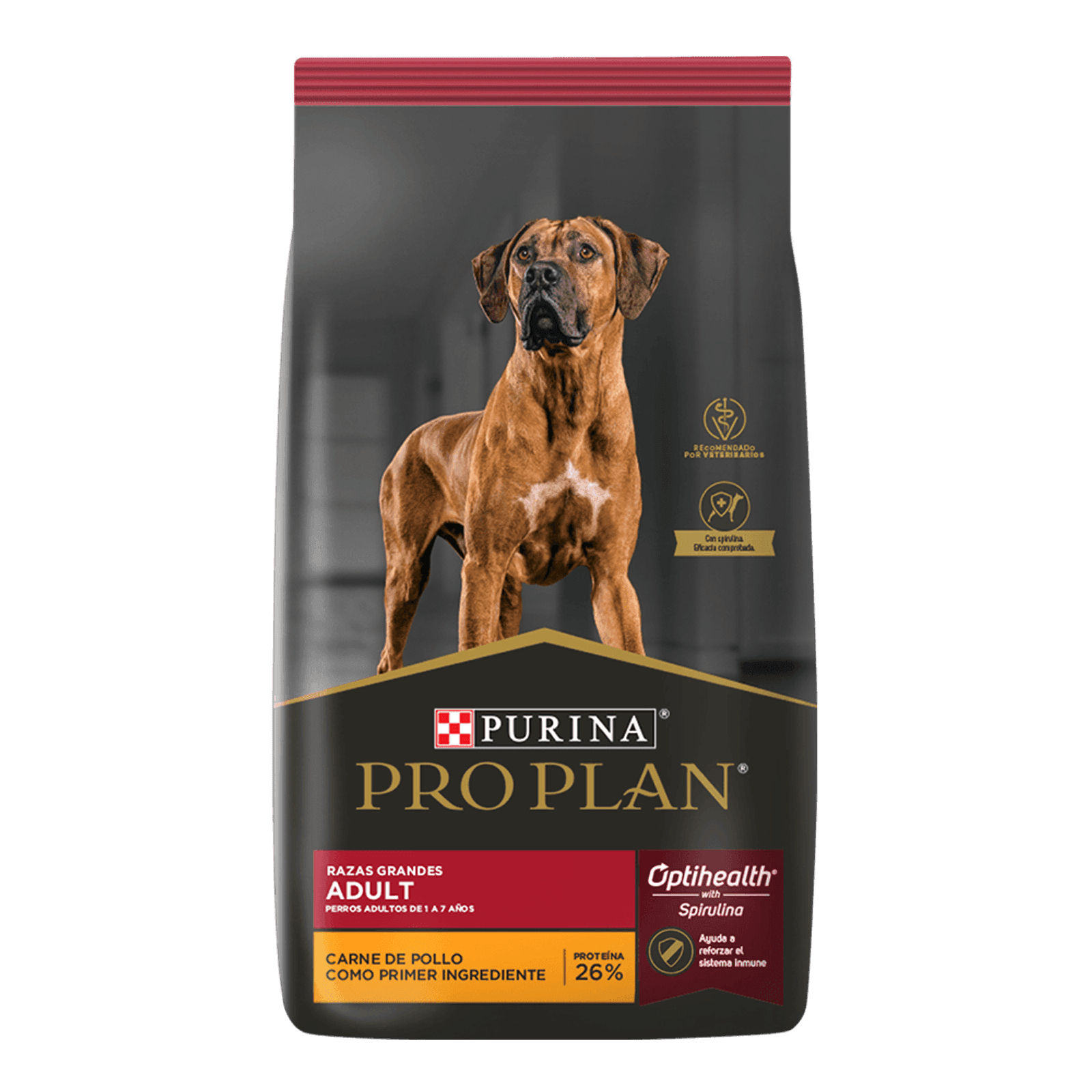 PRO PLAN PERRO ADULTO RAZA GRANDE 3 KG