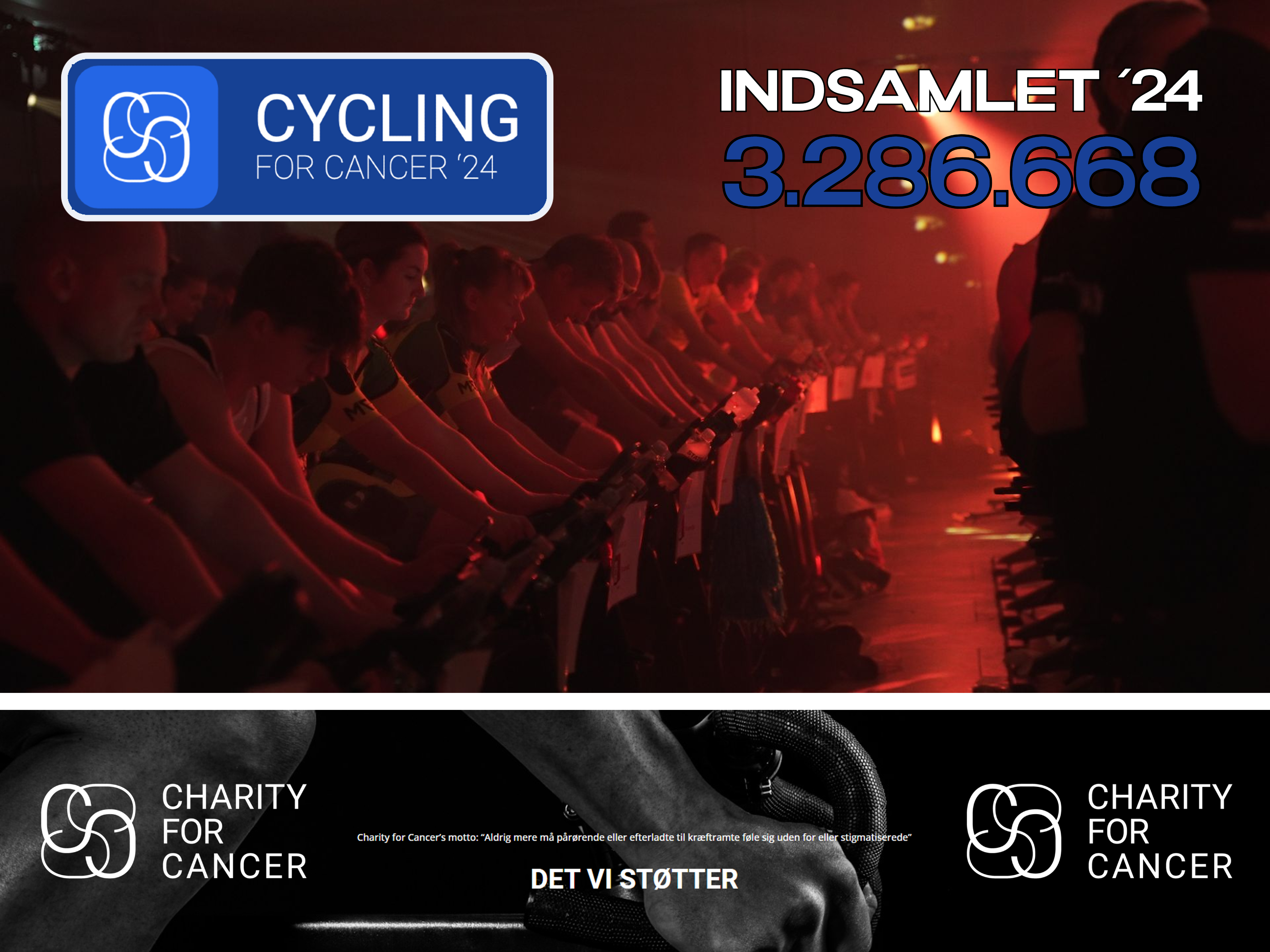 Charity for Cancer Grafik 2