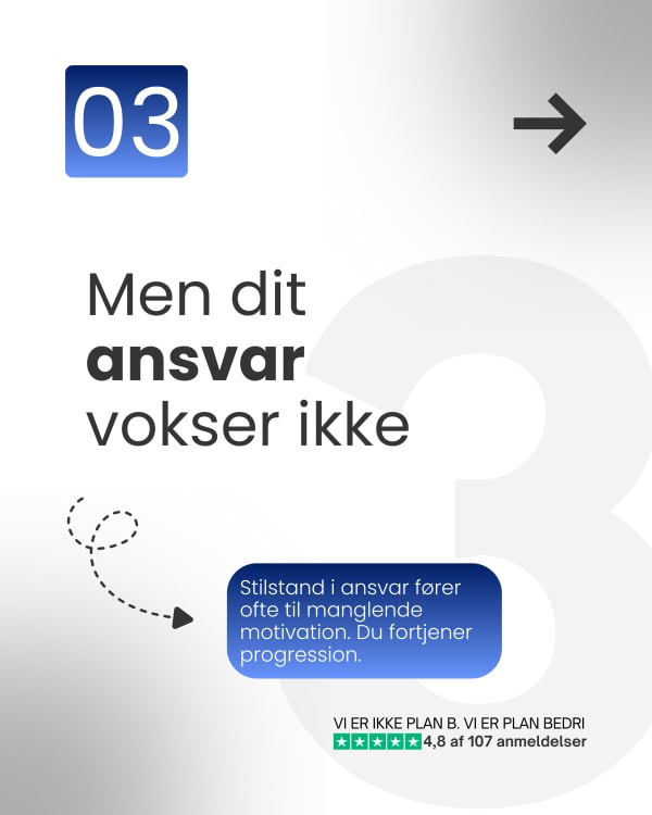 BEDRI karrusel 03: Men dit ansvar vokser ikke