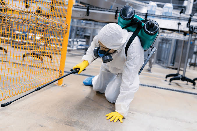Is Pest Control Safe for Babies and Pets? Safety Guide | Pest Guard
